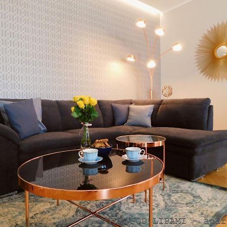 Vila Pod Lipami Apartment Bruntál Екстериор снимка