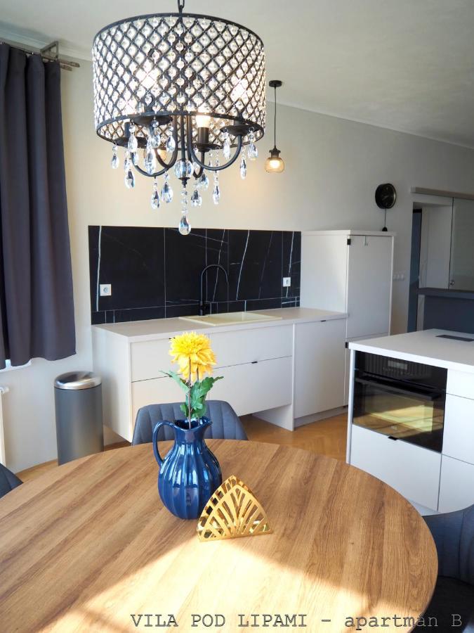 Vila Pod Lipami Apartment Bruntál Екстериор снимка