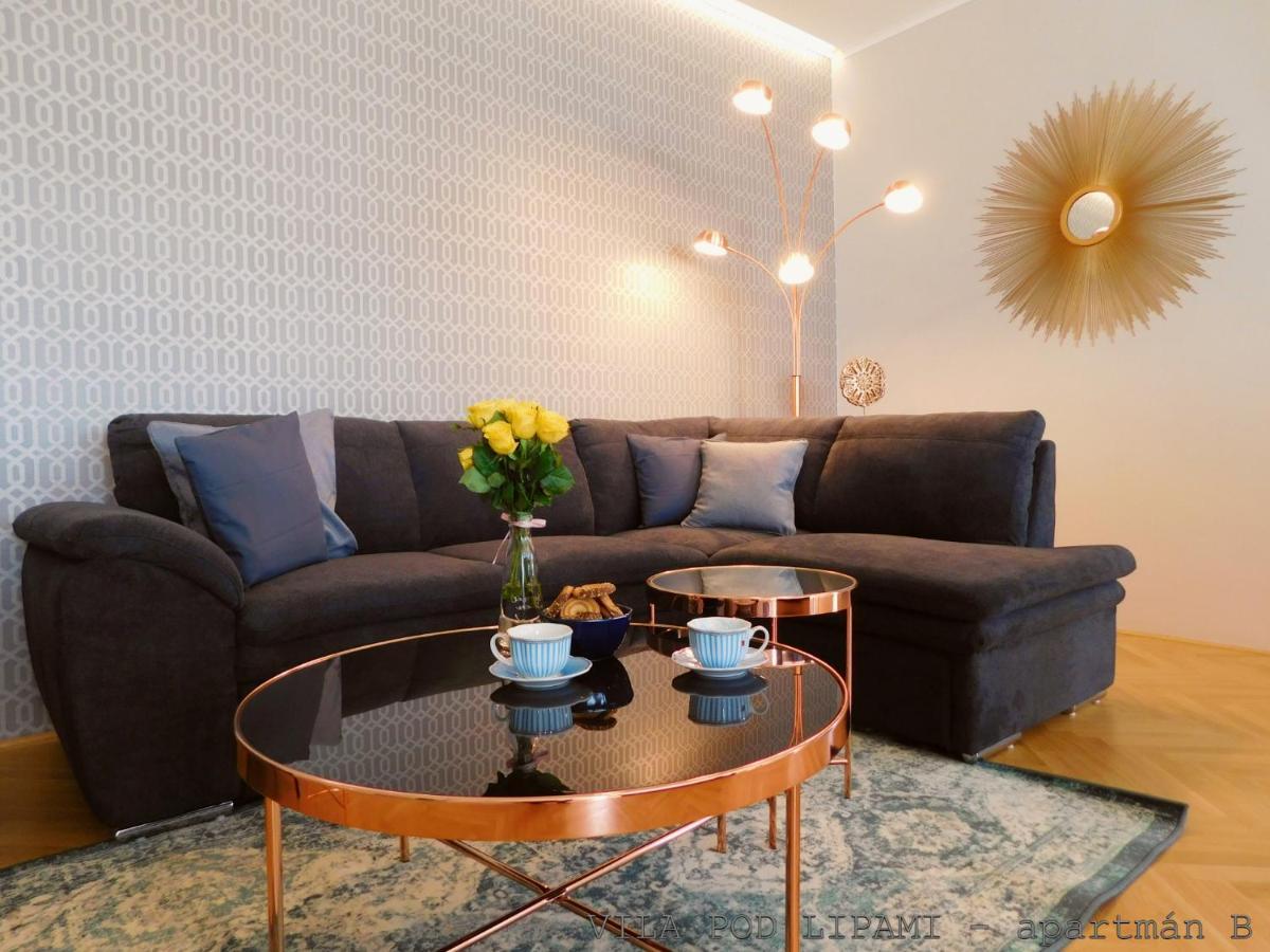 Vila Pod Lipami Apartment Bruntál Екстериор снимка