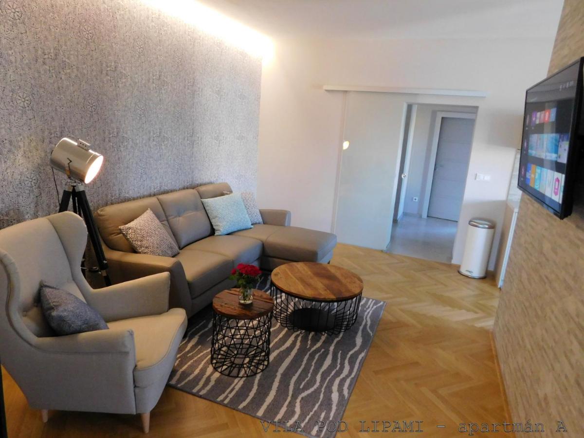 Vila Pod Lipami Apartment Bruntál Екстериор снимка
